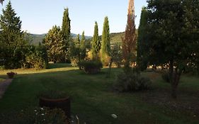 Santa Margherita